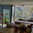 평창리버힐 이미지