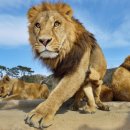 리버레일 이미지