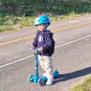 붕붕카 | 유아킥보드 마이크로 미니 투고 &amp; 헬멧 실사용 후기 | 붕붕카까지 한 번에!