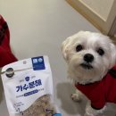 견생냥품24시무인펫샵파주문산수타운점