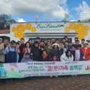 제주시 동백주간활동센터 이미지