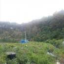 용신농장 이미지