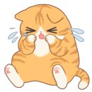 오너프로;조선광택