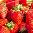 명재농장 이미지