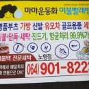 운동화구두이불빨래방 이미지