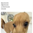 그래요 - 연수구 컨벤시아대로 100 | 그래요