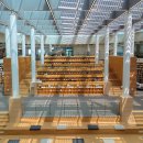 하늘내린 인제태권도장 | 인제 가볼만한곳 1박2일 여행코스 벚꽃로드 봄 여행 맛집 카페 등