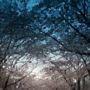 세림목욕탕