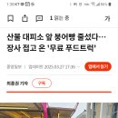 일월 붕어빵 본점 - 영양군 일월면 | 일월 붕어빵 본점