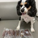 (주)해밀펫푸드 이미지