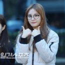 소나무안경 이미지