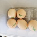 난각번호1번 지리산 진사골 유정란으로 맛있는 계란 요리