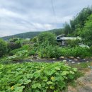 노곡리마을회관2 이미지