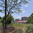 교동면보건지소 이미지