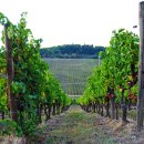 정원호텔 이미지