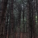 동수상천 | [백패킹]주제 : 아, 옛날이여. 부제 : 호명산 백패킹 (아웃도어크루 / 호명산 / 근교백패킹 / 백패킹크루)