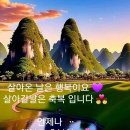 영도건강약국
