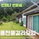 홍천 물걸리 골짜기에서 물걸리파의 하루