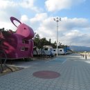 고래불국민야영장 이미지