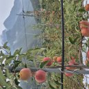 천안 당진 예산 한바퀴 이미지