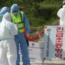 천안오골계농장 이미지