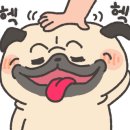 정훈동물병원 이미지