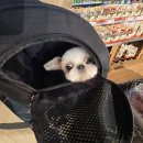 해뜨는동물병원해질녘책방 이미지