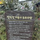 전원일기마을 오토 캠핑장 | 서울근교 캠핑장 양주 캠핑 경기도 캠핑장 아이랑 캠핑 전원일기 마을 오토캠핑장 가을캠핑