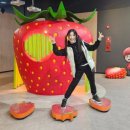 박영재댄스스포츠학원 이미지