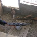 기철농장 이미지