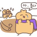 인스타프렌즈