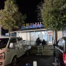 영동낚시 | 인천 영흥도 9월 쭈꾸미낚시 후기 ㅣ 영동2낚시 영동1호 ㅣ 비오는 날 150마리잡음