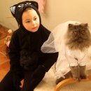 쏭스 이미지