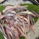 승현상사 이미지