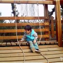 송양초등학교 이미지