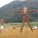 거제 팜스테이 이미지