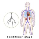 심 이미지