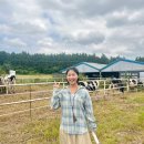 월악산힐링푸드영농조합 | 제주 와일드오차드 티 페스티벌 투어 후기 제주 동쪽 녹차 체험