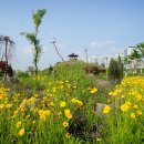 수변공원길 이미지