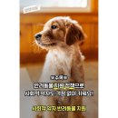 웰니스클리닉청계천점
