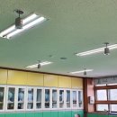 금오초등학교 이미지