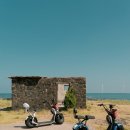 푸른신창 이미지