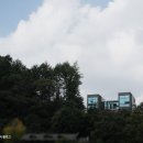 콜린펜션 이미지