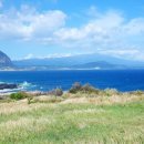 베베앙팡 이미지