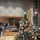 루체른 | 켄싱턴 설악밸리 [노블리안 루체른] 내돈내산 후기!