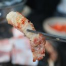 백년손님서서갈비 이미지