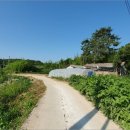 장암면지토리보건진료소 | ♡부여군 토지(대지)경매/충남 부여군경매&gt;충남 부여군 장암면 지토리 526 경매 정보/ 2019타경21145