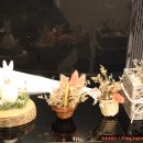 하단동1079 이미지