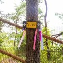 몰운대 표지석 이미지