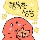 크캣레이디 - 서구 남선로9번길 13 | 사냥놀이 장난감 크캣레이디 강아지풀 후기